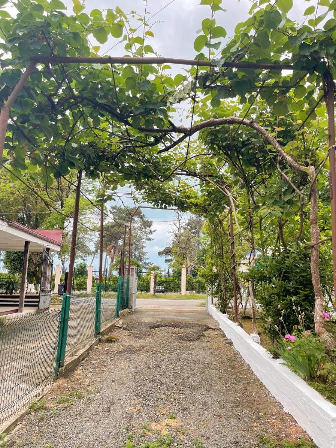 Guesthouse On Agmashenebeli 328 Kobuleti Eksteriør bilde